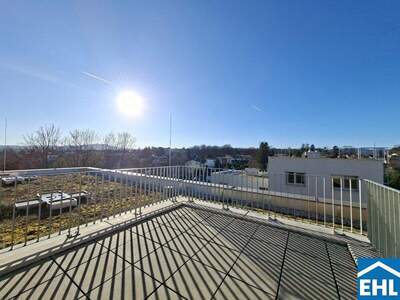 Terrassenwohnung mieten in 1120 Wien (Bild 5)