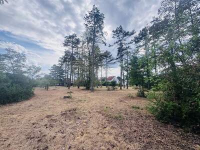 Grundstück kaufen in 2230 Gänserndorf