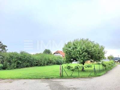 Grundstück kaufen in 4614 Marchtrenk