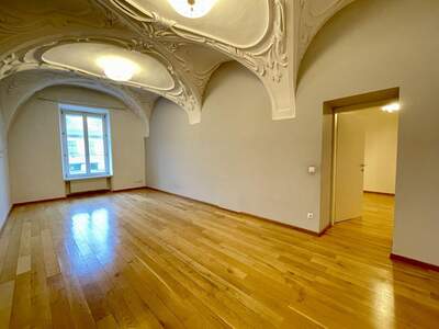 Gewerbeobjekt mieten in 2380 Perchtoldsdorf (Bild 4)