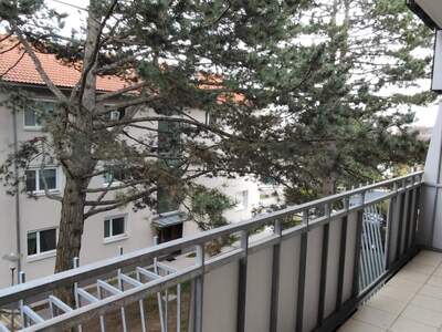 Apartment provisionsfrei mieten in 1190 Wien