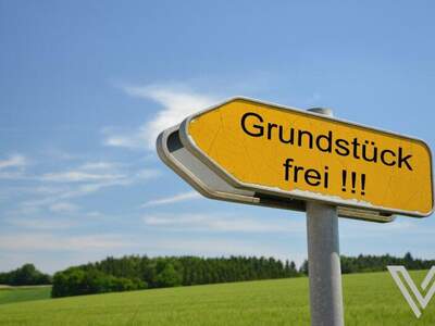 Grundstück kaufen in 5722 Niedernsill (Bild 2)