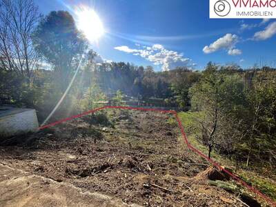 Eigentumswohnung in 4600 Thalheim (Bild 5)