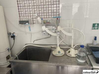 Gewerbeobjekt mieten in 1210 Wien (Bild 4)