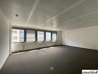 Gewerbeobjekt mieten in 1020 Wien (Bild 2)