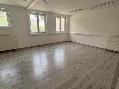Gewerbeobjekt mieten in 2401 Fischamend (Bild 4)