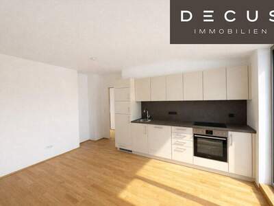 Terrassenwohnung mieten in 1020 Wien (Bild 2)