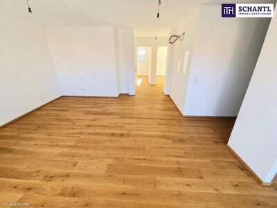 Terrassenwohnung kaufen in 1100 Wien (Bild 3)