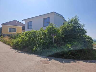 Haus kaufen in 3463 Starnwörth