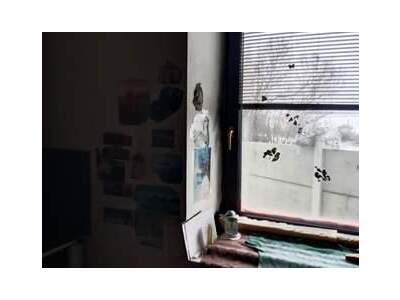 Haus provisionsfrei kaufen in 3751 Sigmundsherberg