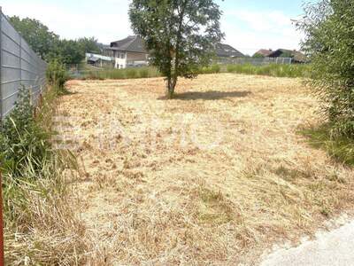 Grundstück kaufen in 4311 Schwertberg (Bild 1)