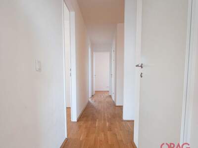 Wohnung mieten in 5020 Salzburg (Bild 5)