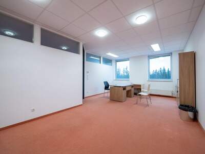 Gewerbeobjekt mieten in 4800 Attnang (Bild 3)