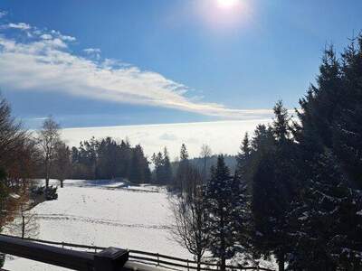 Grundstück kaufen in 8061 Sankt Radegund (Bild 4)