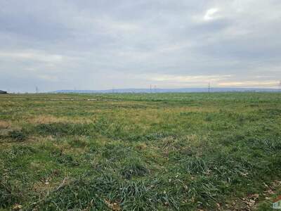 Grundstück kaufen in 2433 Margarethen (Bild 2)