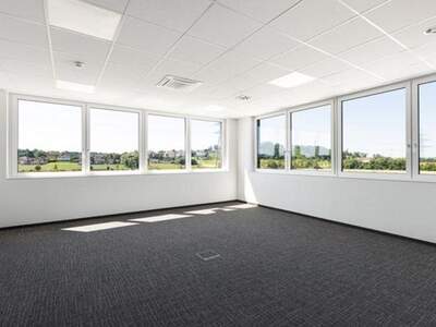 Gewerbeobjekt mieten in 4490 Sankt Florian (Bild 3)