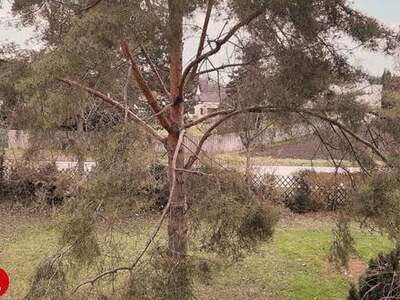 Wohnung mieten in 2454 Trautmannsdorf