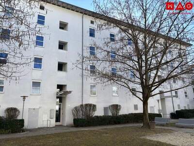 Terrassenwohnung mieten in 4030 Linz (Bild 1)