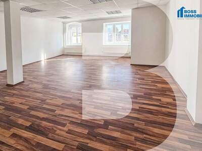 Gewerbeobjekt mieten in 4050 Traun