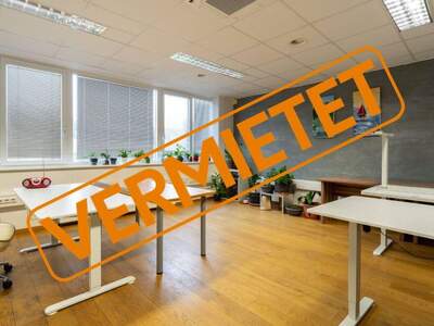 Gewerbeobjekt mieten in 4812 Wiesen (Bild 1)