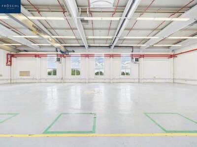 Gewerbeobjekt mieten in 3830 Waidhofen