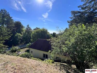 Haus kaufen in 2551 Enzesfeld