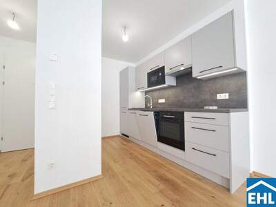 Terrassenwohnung kaufen in 1220 Wien (Bild 4)