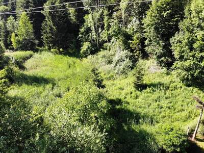 Grundstück kaufen in 8132 Pernegg (Bild 3)