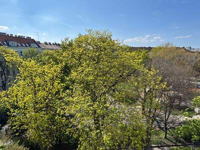 Altbauwohnung kaufen in 1020 Wien