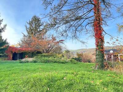 Grundstück kaufen in 3400 Weidling (Bild 3)