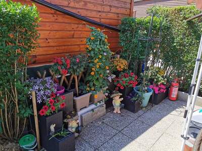 Gewerbeobjekt provisionsfrei kaufen in 7063 Oggau