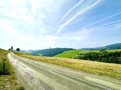 Haus kaufen in 9112 Griffen (Bild 4)