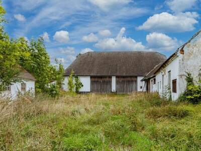 Haus kaufen in 3580 Horn