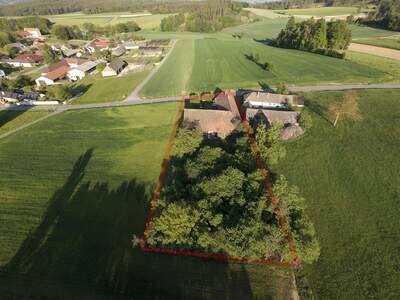 Haus mit Garten kaufen in 3823 Wetzles (Bild 4)