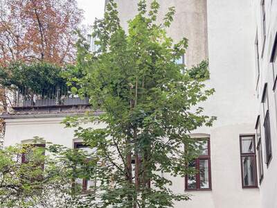 Altbauwohnung kaufen in 1050 Wien (Bild 5)