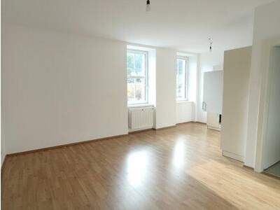 Wohnung mieten in 2565 Neuhaus (Bild 2)