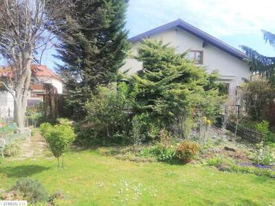 Haus mieten in 2100 Korneuburg (Bild 4)