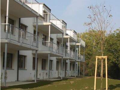 Terrassenwohnung mieten in 3434 Katzelsdorf