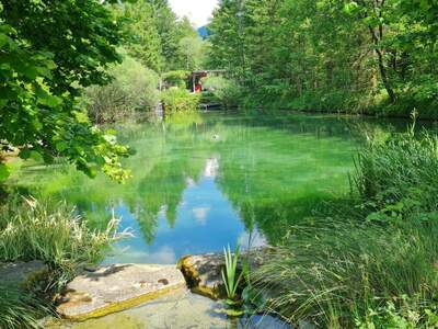 Terrassenwohnung kaufen in 3341 Ybbsitz (Bild 2)