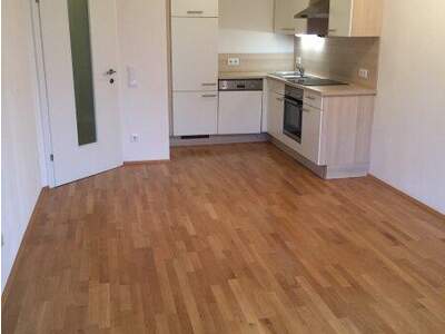 Terrassenwohnung kaufen in 9020 Klagenfurt (Bild 3)