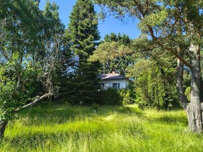 Haus kaufen in 3872 Amaliendorf (Bild 2)