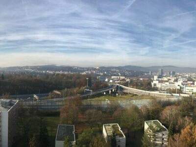 Terrassenwohnung mieten in 4020 Linz (Bild 3)