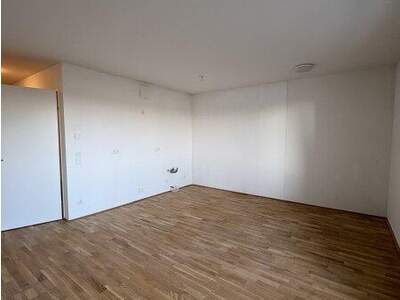 Terrassenwohnung mieten in 1220 Wien (Bild 4)