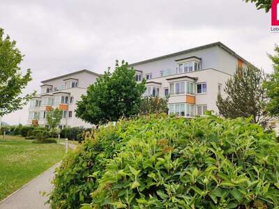Mietwohnung in 4053 Kremsdorf (Bild 1)