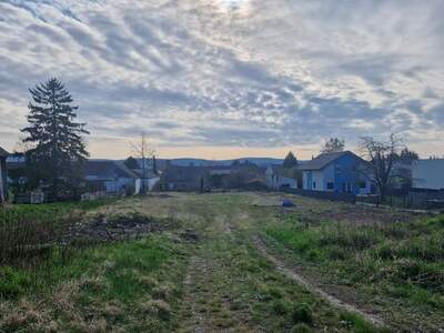 Grundstück kaufen in 2111 Harmannsdorf