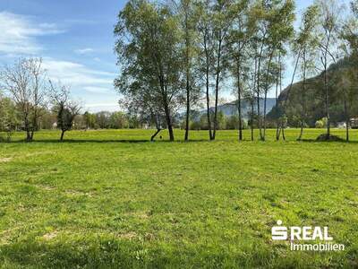 Grundstück kaufen in 6845 Hohenems (Bild 2)