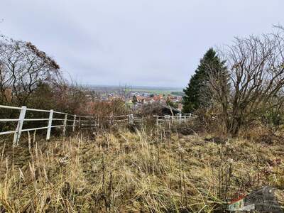 Einfamilienhaus kaufen in 3433 Königstetten (Bild 5)