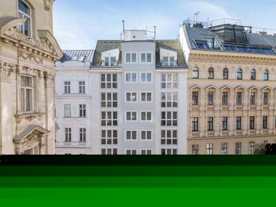 Terrassenwohnung kaufen in 1020 Wien (Bild 2)