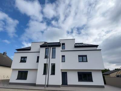 Haus kaufen in 1230 Wien