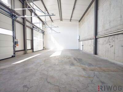 Produktion mieten in 3425 Langenlebarn (Bild 2)